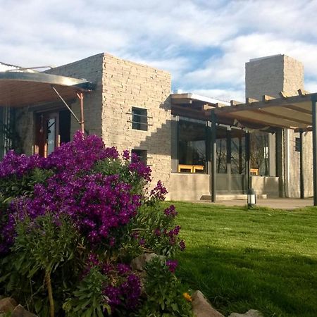 La Calandria Casa De Campo Villa Puerto Madryn Ngoại thất bức ảnh