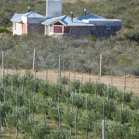 La Calandria Casa De Campo Villa Puerto Madryn Ngoại thất bức ảnh