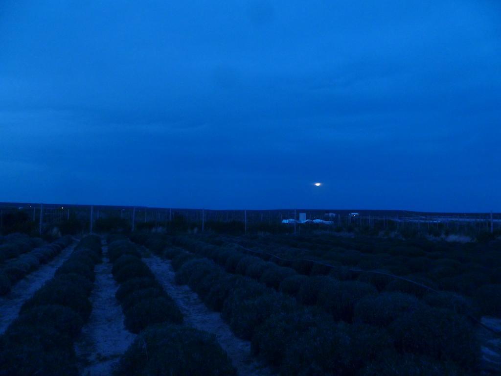 La Calandria Casa De Campo Villa Puerto Madryn Ngoại thất bức ảnh