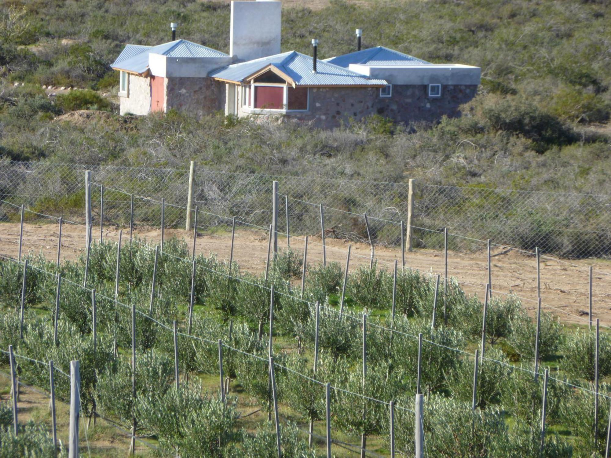 La Calandria Casa De Campo Villa Puerto Madryn Ngoại thất bức ảnh
