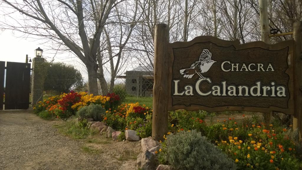 La Calandria Casa De Campo Villa Puerto Madryn Ngoại thất bức ảnh