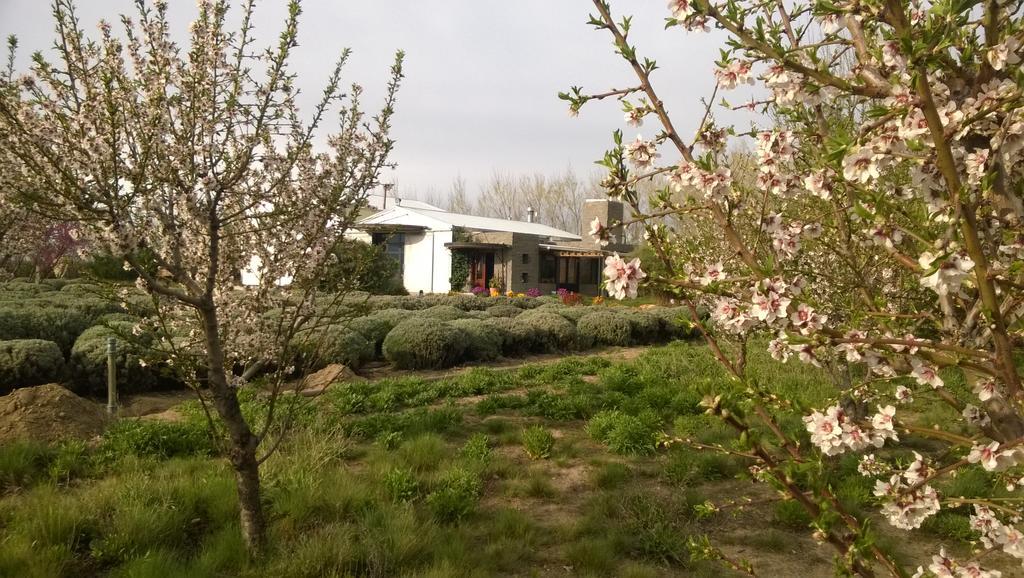 La Calandria Casa De Campo Villa Puerto Madryn Ngoại thất bức ảnh
